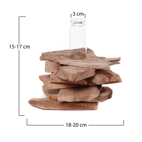 Vase Tiana 19x16 cm,  Wurzelholz, mit Reagenzglas-Einsatz naturfarben