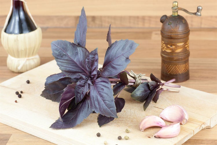 Arrangement mit lila Basilikum, Knoblauchzehen und Pfeffermühle auf einem Schneidebrett