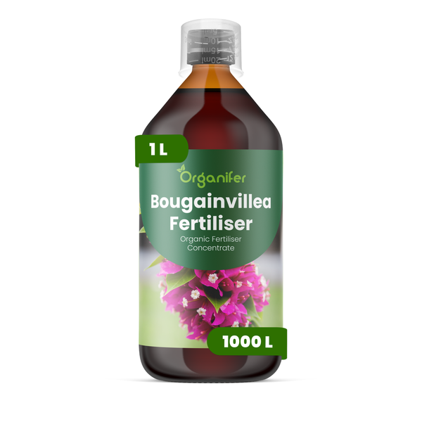 Organifer Bougainvillea Dünger, organisches Düngerkonzentrat, 1 Liter Flasche.