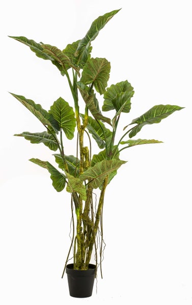 Künstliche Pflanze im schwarzen Kunststofftopf mit strukturiertem Stamm und herabhängenden Luftwurzeln.