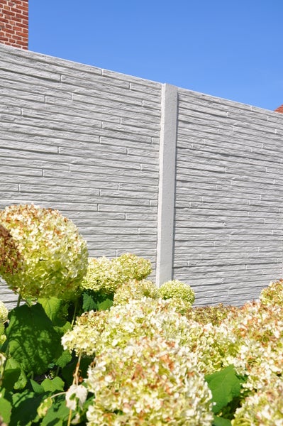 Nahaufnahme einer Fassade mit Putzstruktur und blühenden Hortensien