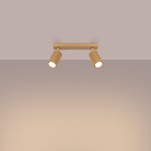 Deckenleuchte mit zwei Strahlern