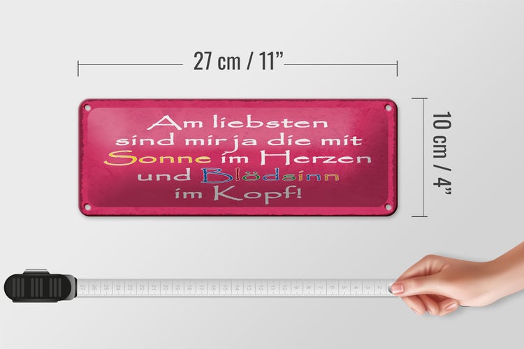 Blechschild Spruch 27x10 cm am liebsten sind die mit Sonne Dekoration