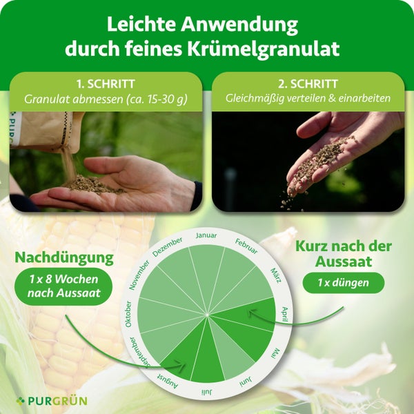 Purgrün Logo. Infografik Granulat. Schritt 1: circa 15 bis 30 Gramm abmessen. Schritt 2: verteilen. Düngekalender von April bis September.