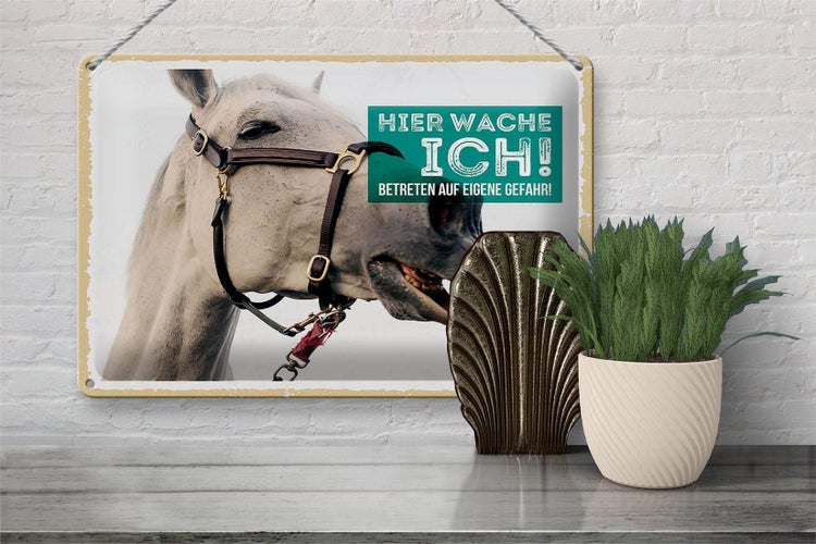 Blechschild Spruch 30x20cm Schimmel hier wache ich