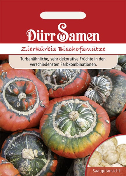 Samentüte für Zierkürbis Bischofsmütze von Dürr Samen mit Abbildung der dekorativen, turbanförmigen Früchte und einer Saatgutansicht.