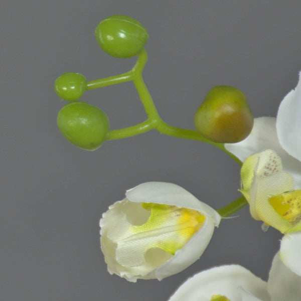 Künstlicher Orchideenzweig mit weißen Blüten und grünen Knospen.