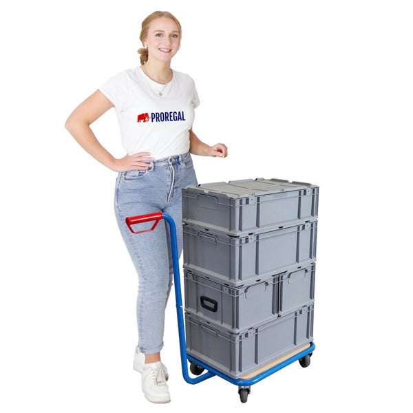 Eine Frau steht neben einem Transportwagen mit Kunststoffboxen.