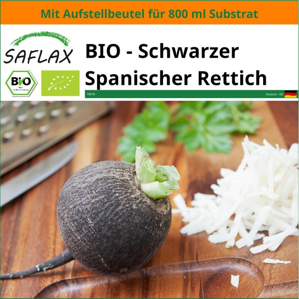 SAFLAX Garden in the bag - BIO - Schwarzer Spanischer Rettich - Raphanus sativus - 100 Samen - Mit Anzuchtsubstrat im praktischen, selbst aufstellenden Beutel