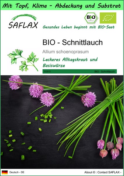 SAFLAX Garden to go - BIO - Schnittlauch - Allium schoenoprasum - 250 Samen - Mit Topf, Klima - Deckel und Anzuchtsubstrat