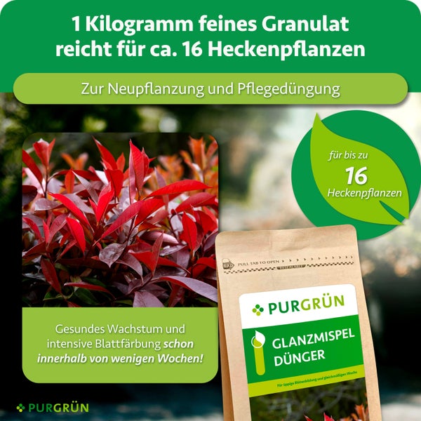 Purgrün Glanzmispel Dünger im Beutel für gesundes Wachstum und intensive Blattfärbung von Heckenpflanzen.