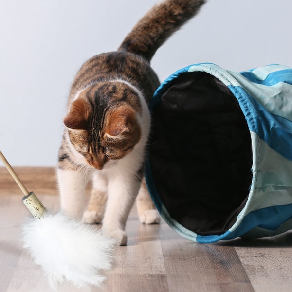 Federwedel für Katzen. Spielstab für Katzen mit Naturfedern. Dieses Federspielzeug aus Holz ist super robust und lange haltbar