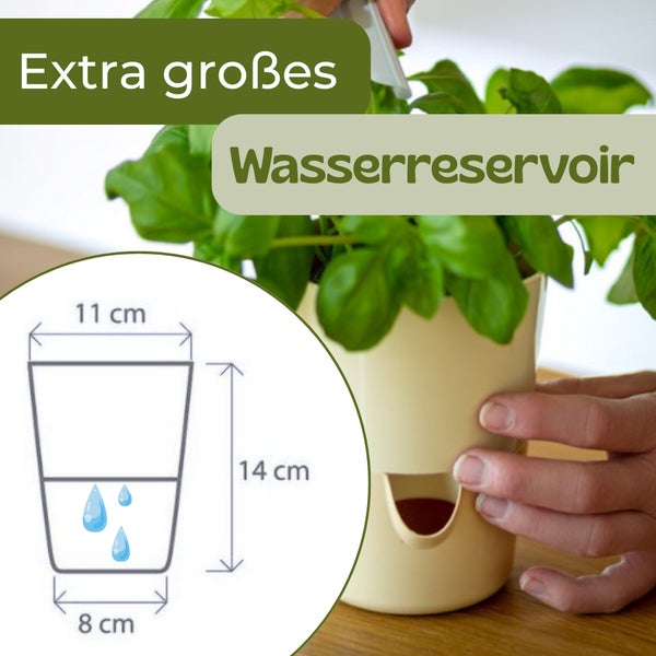 Pflanztopf mit extra großem Wasserreservoir, Maße 14 Zentimeter Höhe, oben 11 Zentimeter und unten 8 Zentimeter breit.