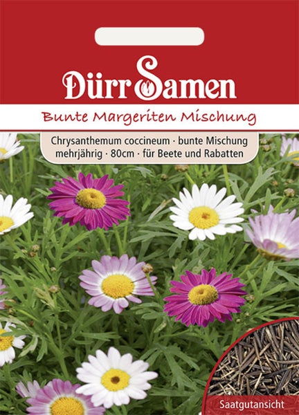 Dürr Samen Bunte Margeriten Mischung, Chrysanthemum coccineum, mehrjährig, Wuchshöhe 80 Zentimeter, für Beete und Rabatten.