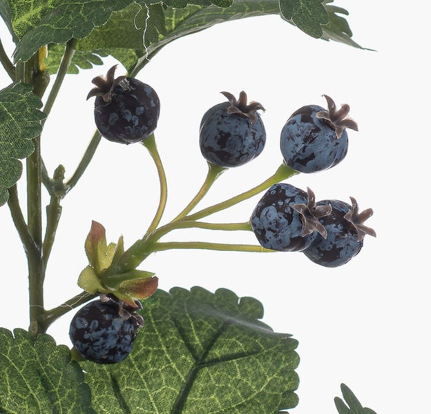 Künstlicher Zweig Blaubeere PAVRO mit Beeren, blau, 75cm - Deko Kunstzweig