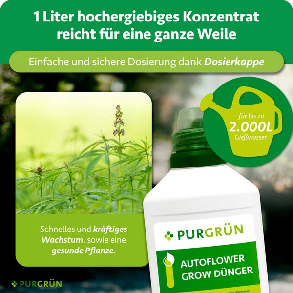 Purgrün Autoflower Grow Dünger Konzentrat 1 Liter, für 2000 Liter Gießwasser, mit Dosierkappe für gesundes Pflanzenwachstum. Purgrün Logo.