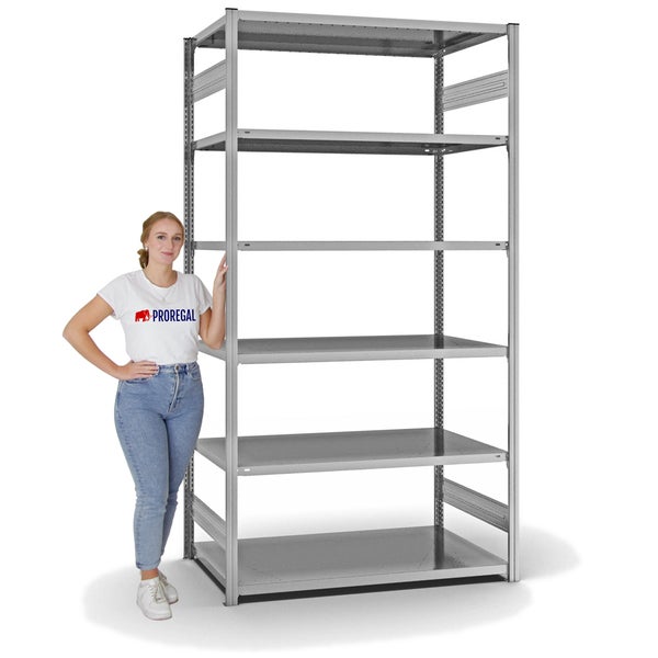 PROREGAL Fachbodenregal Stecksystem T-Profil Light-Duty Grundregal HxBxT 250 x 130 x 80 cm 6 Ebenen Fachlast 190 kg Beidseitig Nutzbar Verzinkt