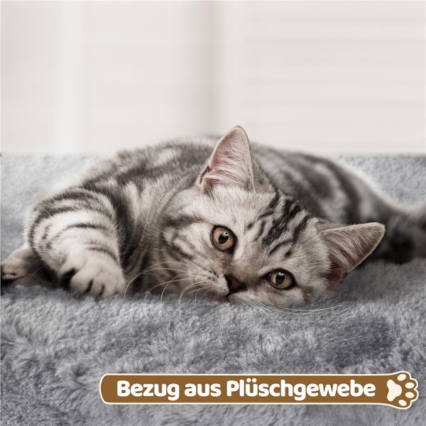 Eine getigerte Katze liegt auf einem Plüschbezug.