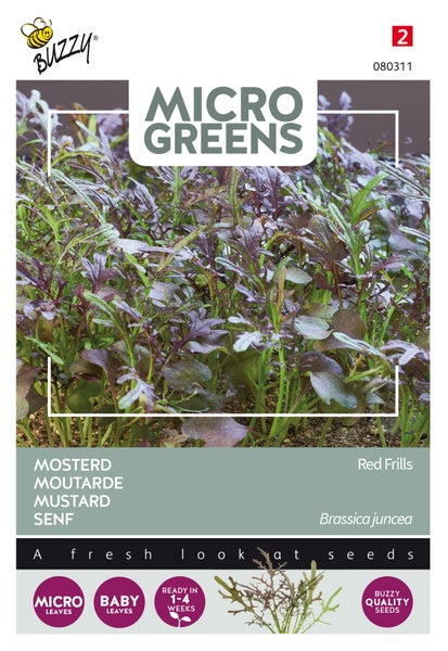 Microgreens Saatgutpackung Roter Krauser Senf