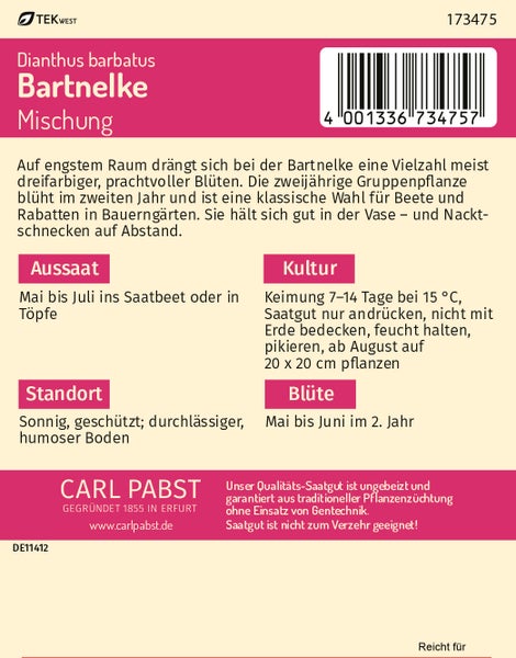 Rückseite der Samentüte für Carl Pabst Bartnelke Mischung, Dianthus barbatus, mit Anbauhinweisen, Barcode, TEKwest Logo und Carl Pabst Logo.