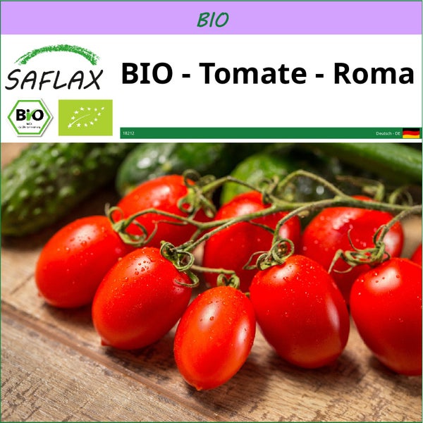 SAFLAX  - BIO - Tomate - Roma - Solanum lycopersicum - 15 Samen