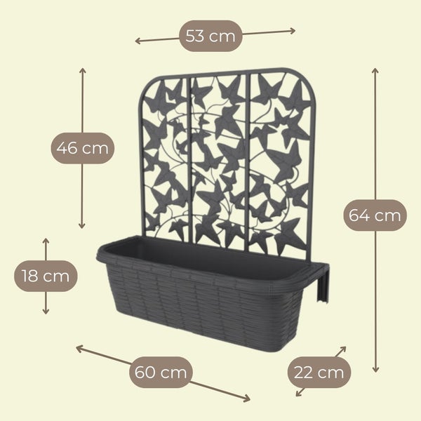 Anthrazitfarbener Balkonkasten mit Rankgitter in Rattan-Optik. Breite 60 Zentimeter, Tiefe 22 Zentimeter, Gesamthöhe 64 Zentimeter.
