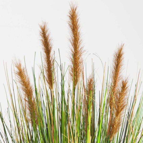 Künstliches Ziergras mit grünen Halmen und braunen, federartigen Blütenständen.