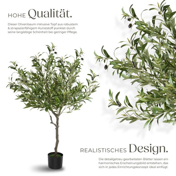 Dekorativer Olivenbaum im Topf für den Innenbereich