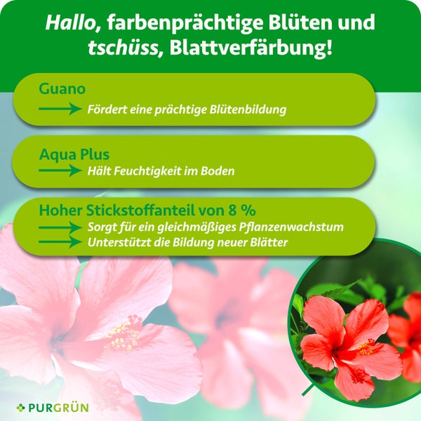 Infografik für Purgrün Pflanzendünger: Guano für Blütenbildung, Aqua Plus für Bodenfeuchtigkeit, 8 Prozent Stickstoff für Wachstum und neue Blätter.