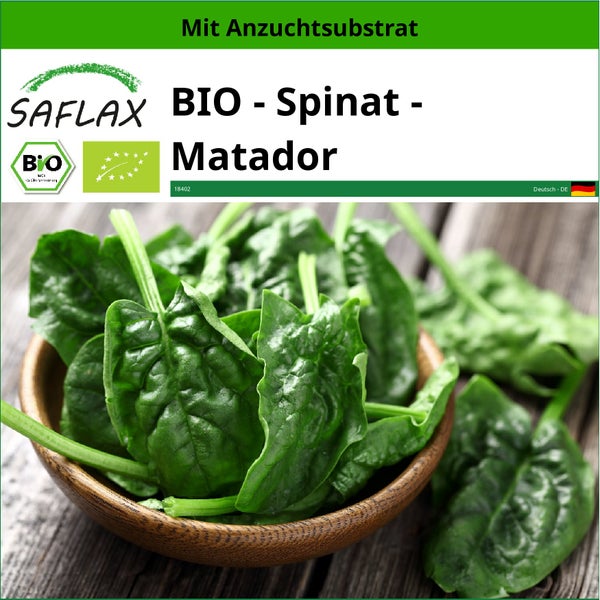 SAFLAX  - BIO - Spinat - Matador - Spinacia oleracea - 300 Samen - Mit keimfreiem Anzuchtsubstrat