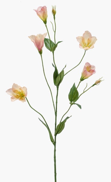 Künstliche Lisianthus in Rosa-Apricot aus Textil und Kunststoff mit Blüte und Knospe.