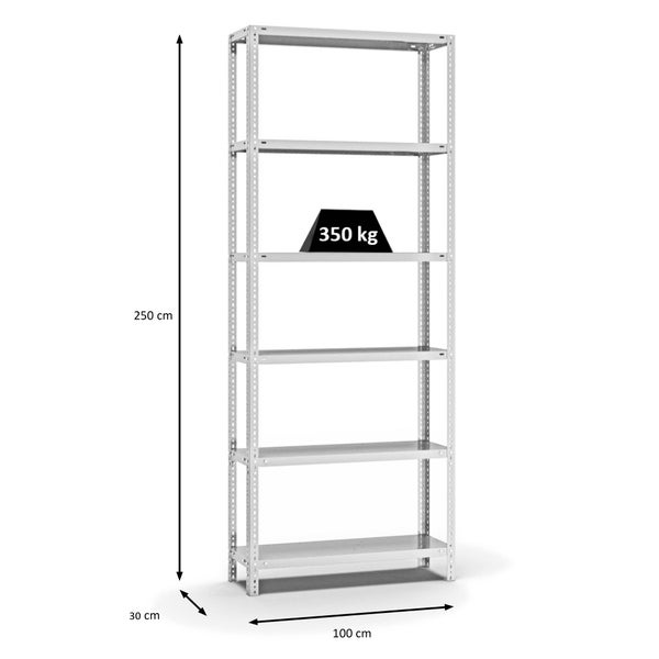 PROREGAL Fachbodenregal Schraubsystem Heavy-Duty Grundregal HxBxT 250 x 100 x 30 cm 6 Ebenen Fachlast 350 kg Beidseitig Nutzbar Lichtgrau