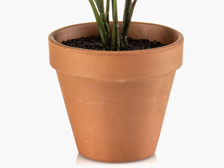 Klassischer Blumentopf aus Terrakotta mit Erde und grünen Pflanzenstielen.