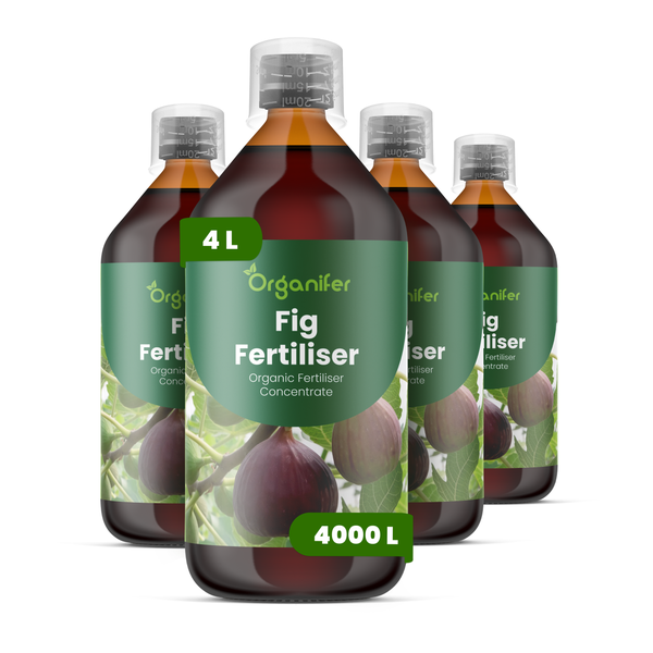 Vier Flaschen Organifer Feigendünger, organisches Flüssigdüngerkonzentrat, 4 Liter.