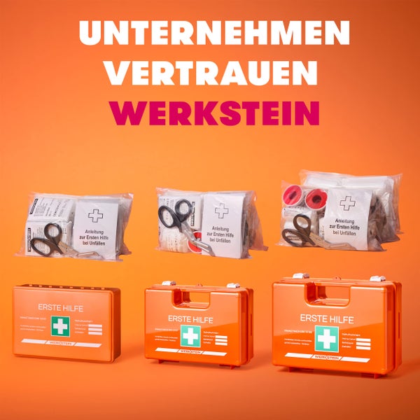 Erste Hilfe Nachfüllset ÖNORM Z1020 Typ1 inkl. Erste Hilfe Anleitung - Verbandskasten Nachfüllset Ö-NORM Z 1020 Typ 1 mit praktischen Innentaschen - ÖNORM Z1020 Typ1 Nachfüllset für Betriebe