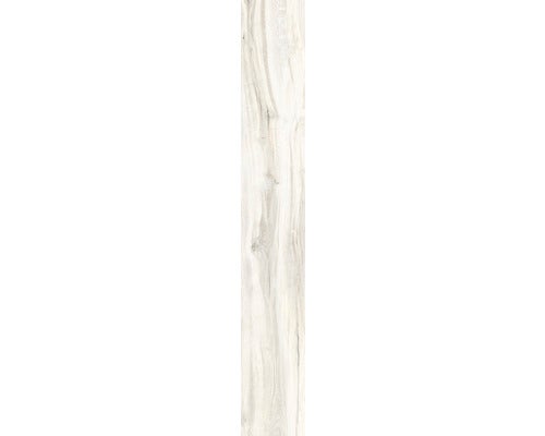 Wand- und Bodenfliese Aretino ivory 24x150x0,85cm