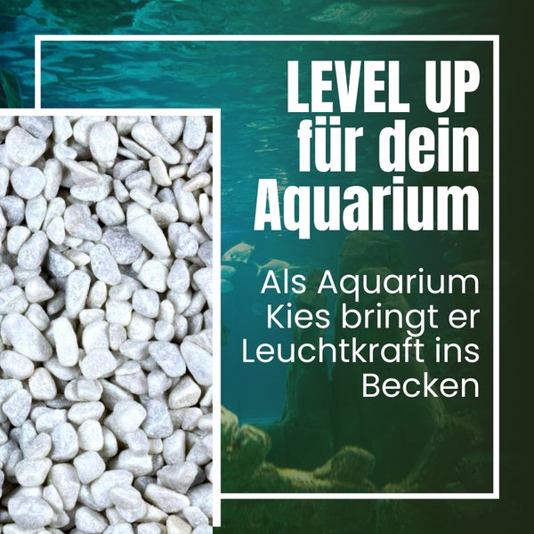 Dekorativer heller Kies für Aquarien