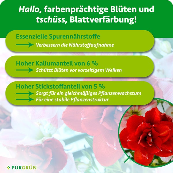 Infografik für Purgrün Dünger: Spurennährstoffe, 6 Prozent Kalium und 5 Prozent Stickstoff für Wachstum. Eine Blüte ist abgebildet. Purgrün Logo.