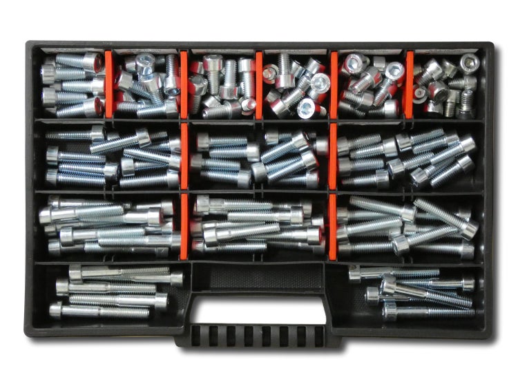 130 tlg Zylinderschrauben Sortiment M8 // 10mm-55mm Schrauben Set Schraubenbox DIN 912/ISO4762 Bolzen Vollgewindeschrauben Maschinenschrauben Gewindeschrauben Zylinderkopfschrauben