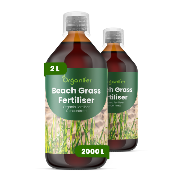 Flüssigdünger für Strandgras 2x1L – 2-1-8 NPK – Flüssigdünger Für Ziergräser & Pflanzen – Fördert Vitalität & Substratgesundheit – Organifer