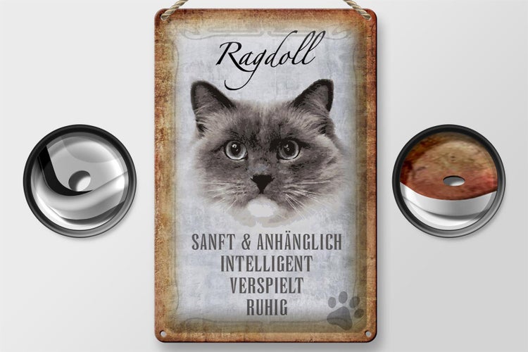Blechschild Spruch 20x30cm Ragdoll Katze sanft Schild