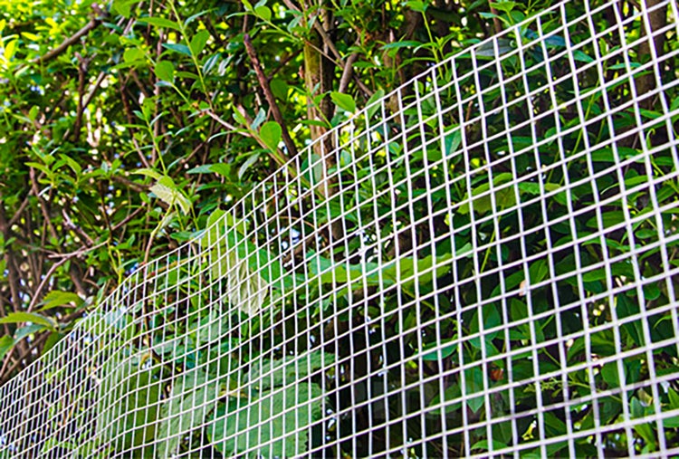 Weißes Kunststoff-Gartengitter mit quadratischen Maschen vor einer grünen Hecke für den Pflanzenschutz.