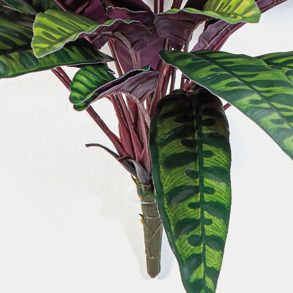 Künstliche Calathea Pflanze mit gemusterten Blättern und rötlicher Blattunterseite.