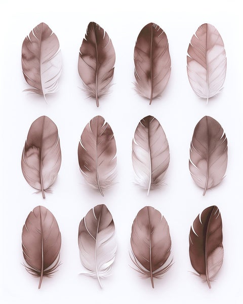 Reihung von zwölf Federn