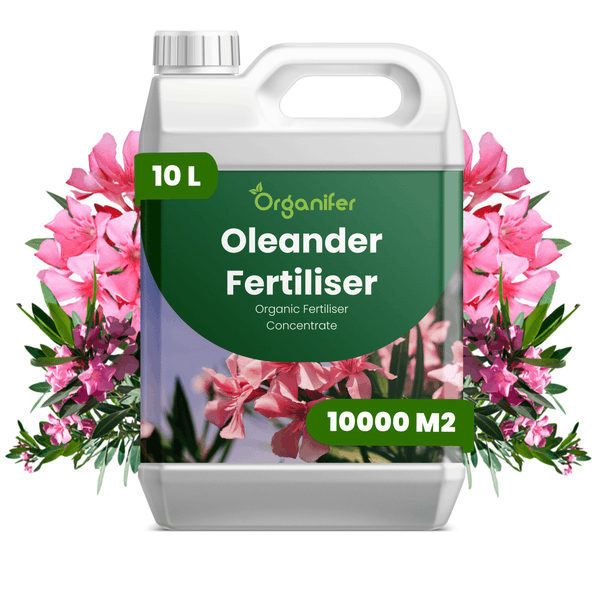 Organifer Oleanderdünger, organisches Düngerkonzentrat, 10 Liter Kanister für circa 10000 Quadratmeter, mit Organifer Logo.