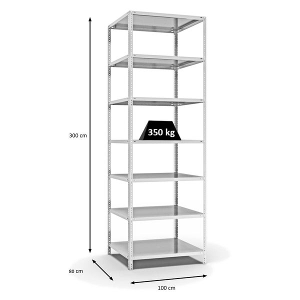 PROREGAL Fachbodenregal Schraubsystem Heavy-Duty Grundregal HxBxT 300 x 100 x 80 cm 7 Ebenen Fachlast 350 kg Beidseitig Nutzbar Lichtgrau