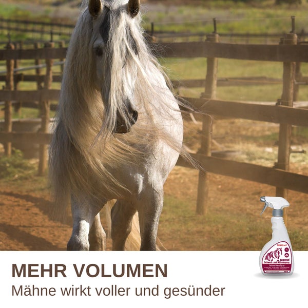Pferd mit langer Mähne auf einer Koppel und eine Flasche Supravit Mähnen- und Schweifspray für mehr Volumen.