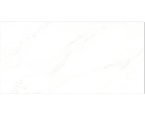 Wand- und Bodenfliese Premium Calacatta 30x60 cm glänzend rektifiziert