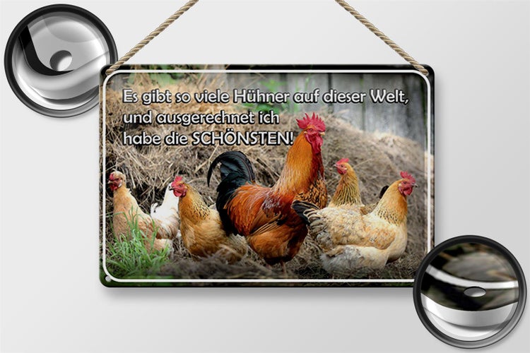 Blechschild Spruch 30x20cm es gibt so viele Hühner und