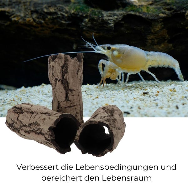 Aquarium Deko Höhle Röhre Reptilien Wurzel Ast Holz Ablaichhöhle Ablaichröhre Fisch Krebs Wels Laichröhre Tonröhre Laichhöhle